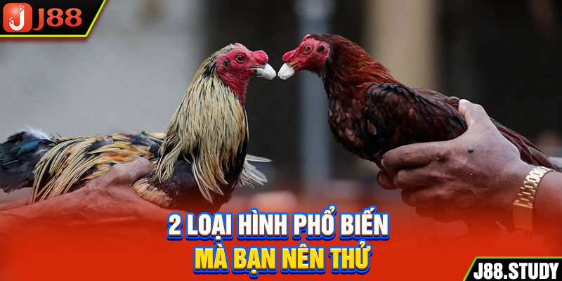 2-loai-hinh-pho-bien-ma-ban-nen-thu