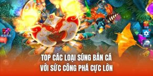 Top Các Loại Súng Bắn Cá Với Sức Công Phá Cực Lớn